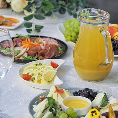 Clash 海外版：解锁全球网络的终极代理工具使用指南